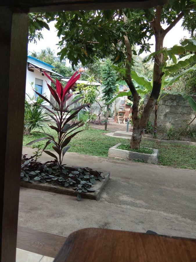Safsia homestay Toyapakeh Luaran gambar